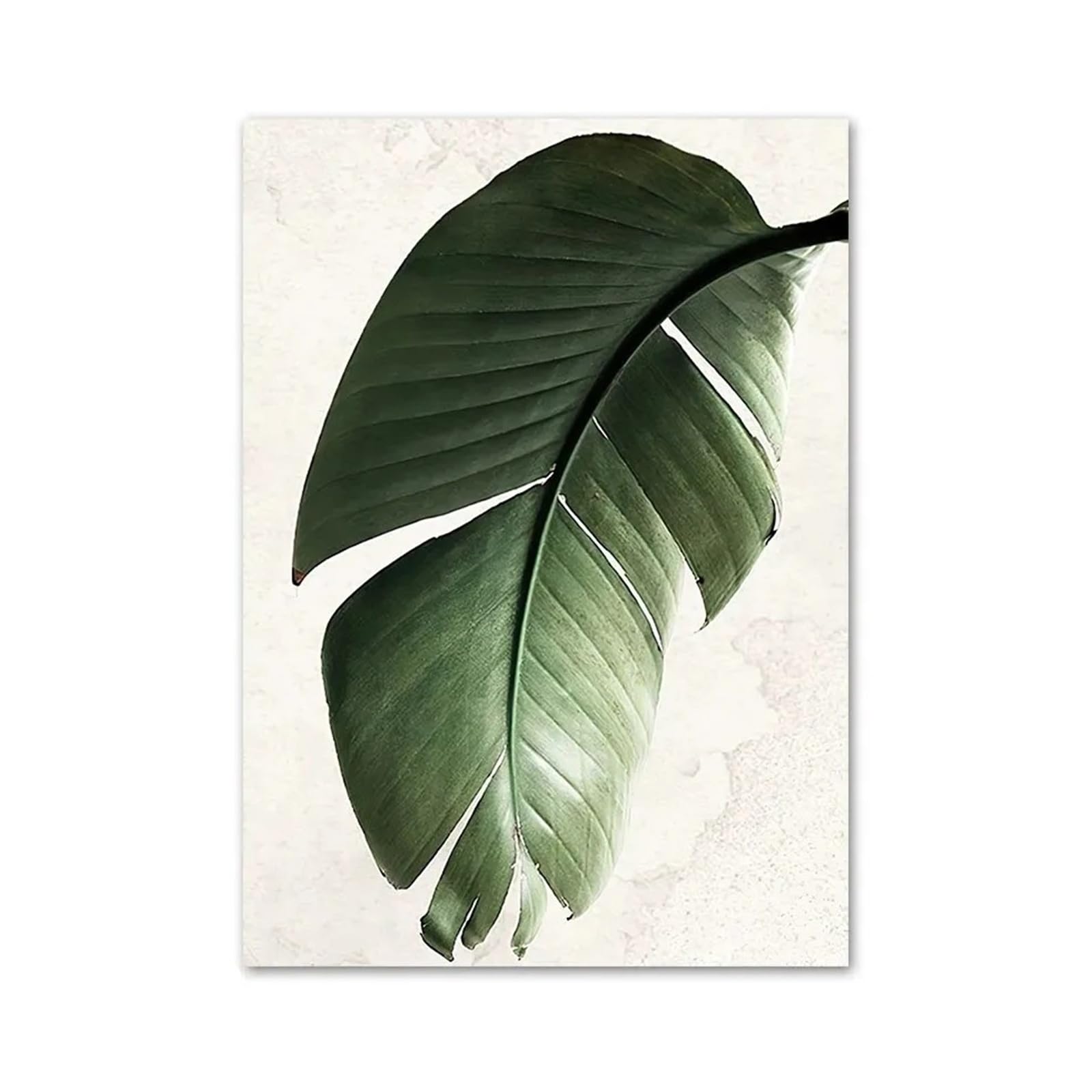Toile feuilles de monstera moderne, une décoration d'intérieur élégante pour un salon apaisant