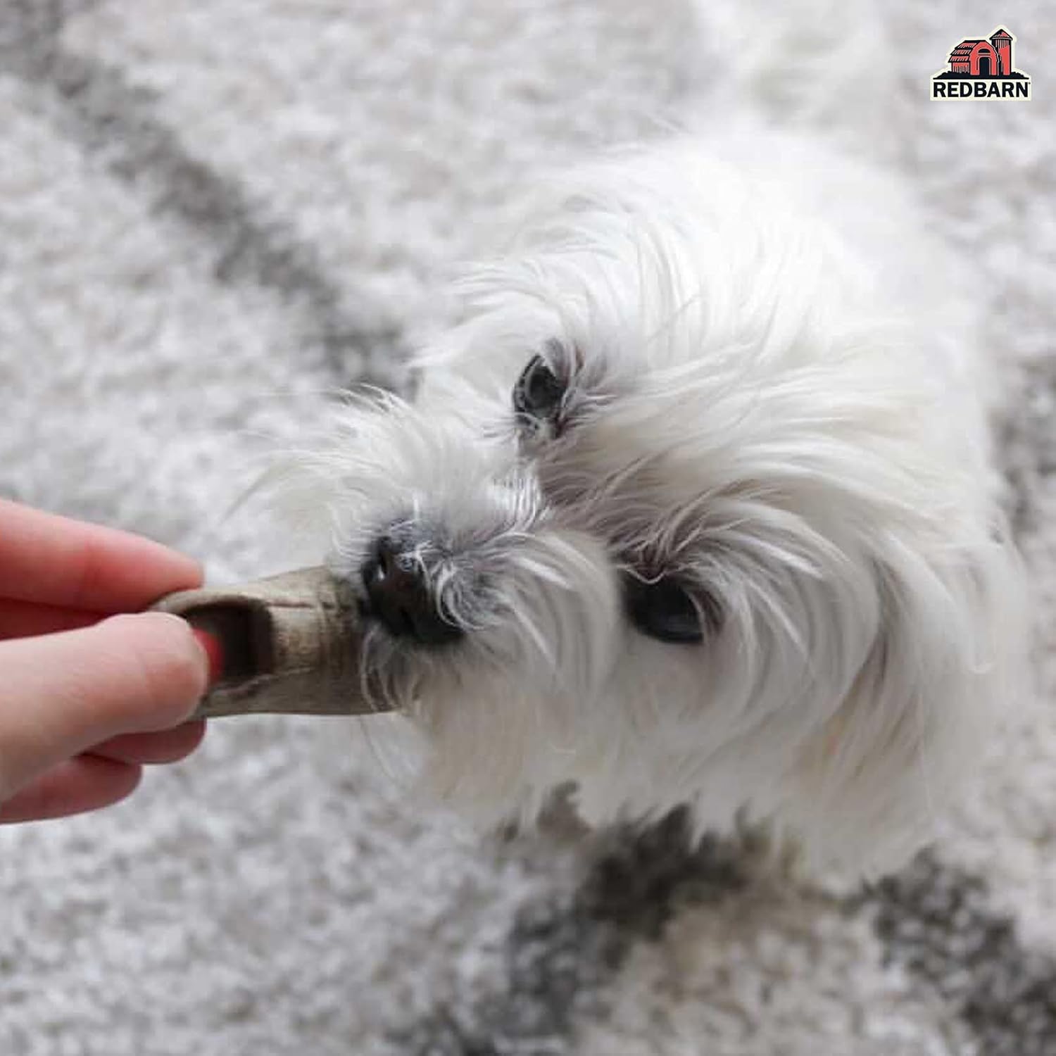 Redbarn Pet Products Chew-A-Bulls (Size: Small, Shape: Shoes, Case of 75)