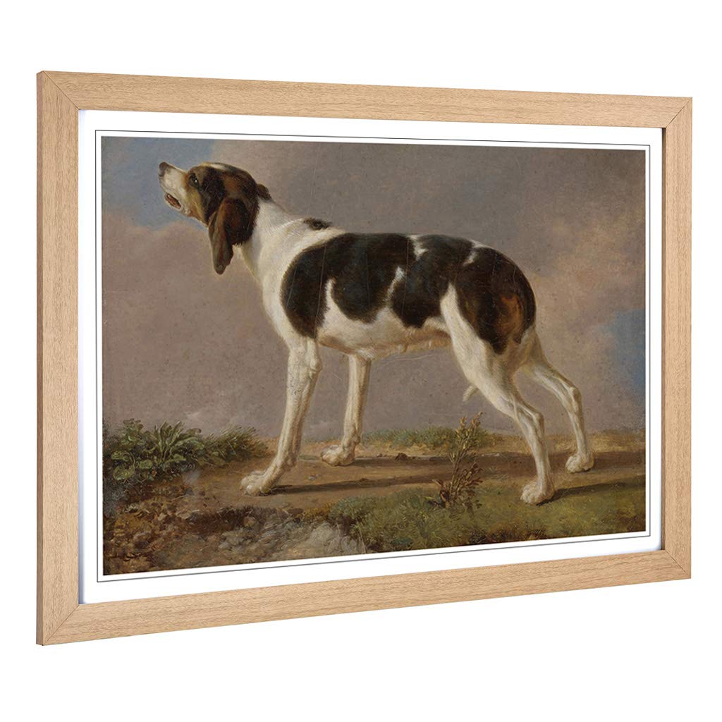 Big Box Art Framed Print of Jacques-Laurent Agasse Hound Design | Wall Art Picture | Home Decor for Kitchen, Living, Dining Room, Bedroom, Hallway, Office, Oak, A2 / 24.5x18 Inch / 62x45cm