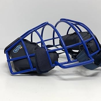 Amazon.co.jp: 横浜DeNA ベイスターズ キャッチャーミット