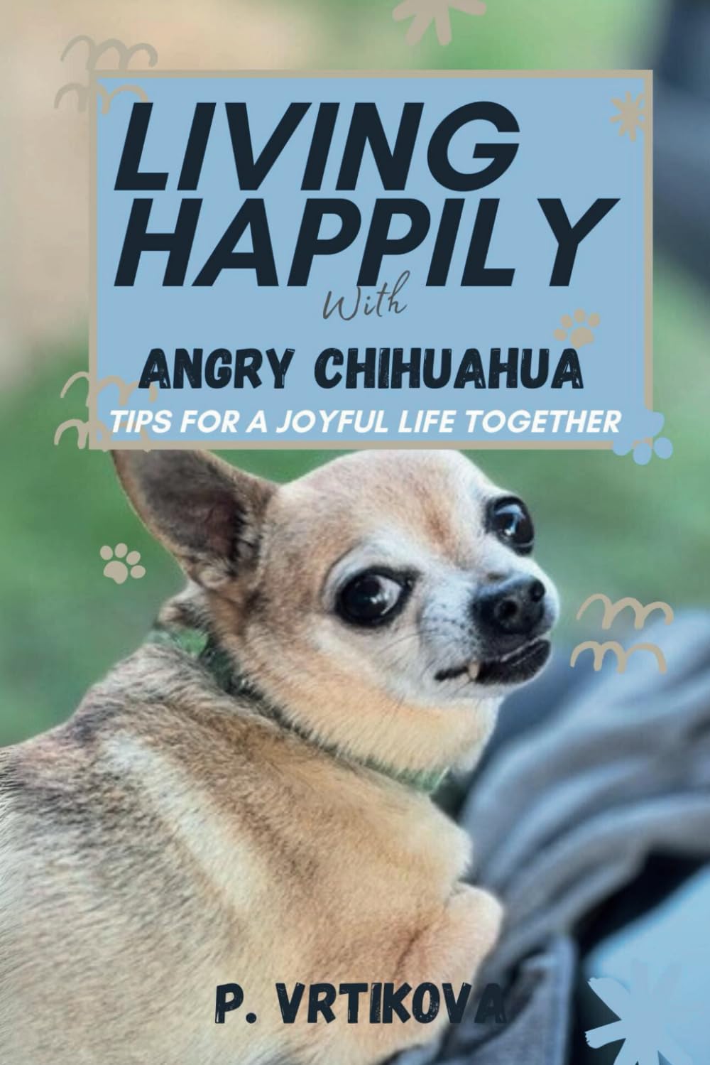 Living Happily with Angry Chihuahua: Tips for a Joyful Life Together