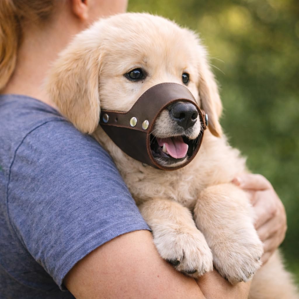 JorVet Small Leather Muzzle