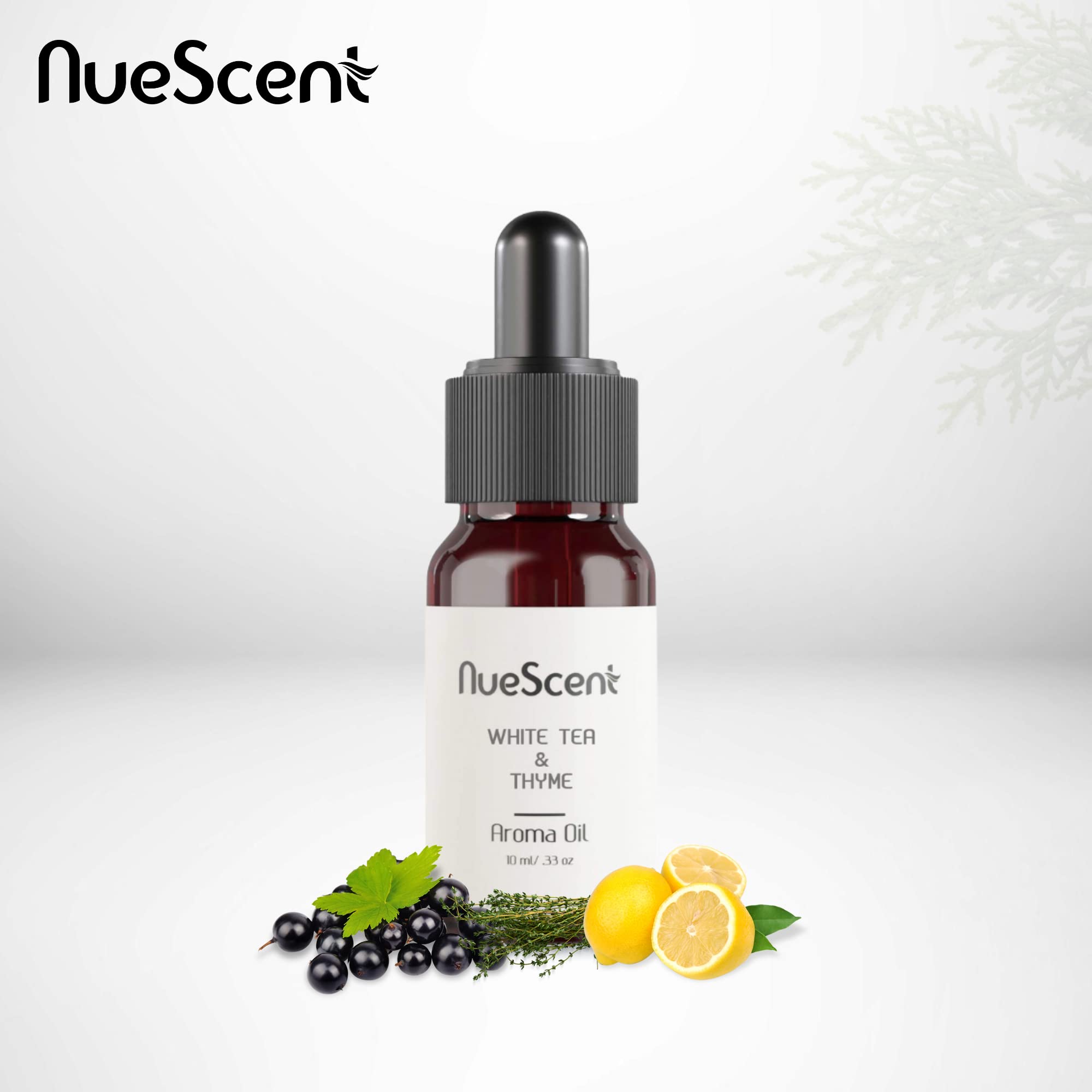 Amazon.com: White Tea & Thyme Aroma Oil for Scent Diffusers 10