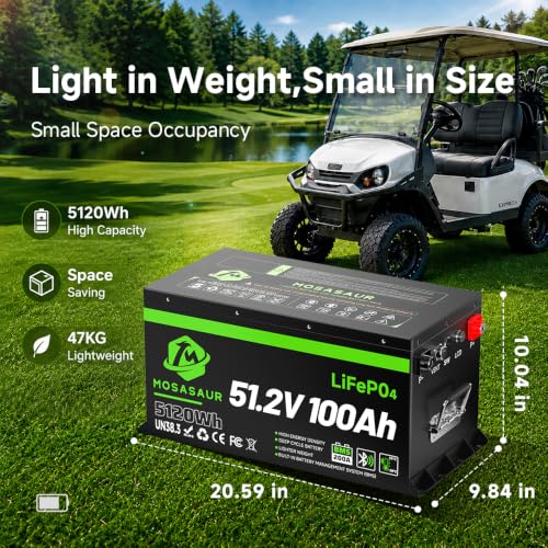 Image of 51.2V 100Ah LiFePO4 Lithium Golf Cart Battery -- Built-in 200A BMS, 58.4V 18A Charger, Bluetooth APP & LCD Display | 300A Peak & 5.12kWh Power, 4000+ Cycles & 3‑Year Warranty