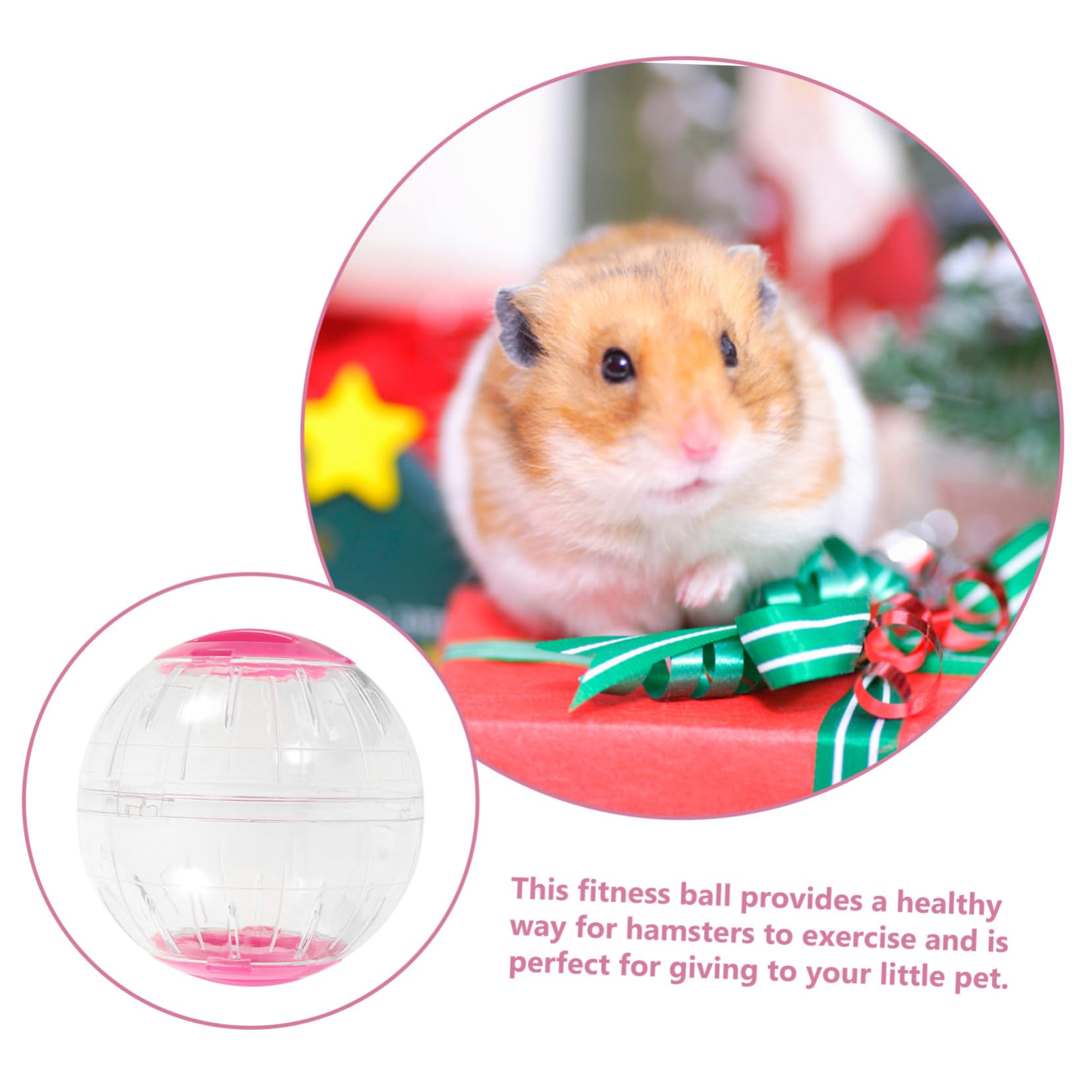 Boule de Course pour Hamster Transparente Anti-fuite 4pcs en Plastique | Observation Transparente, Fonctionnement Silencieux, Usage Maison et Voyage, pour Hamster et Cochon D’inde