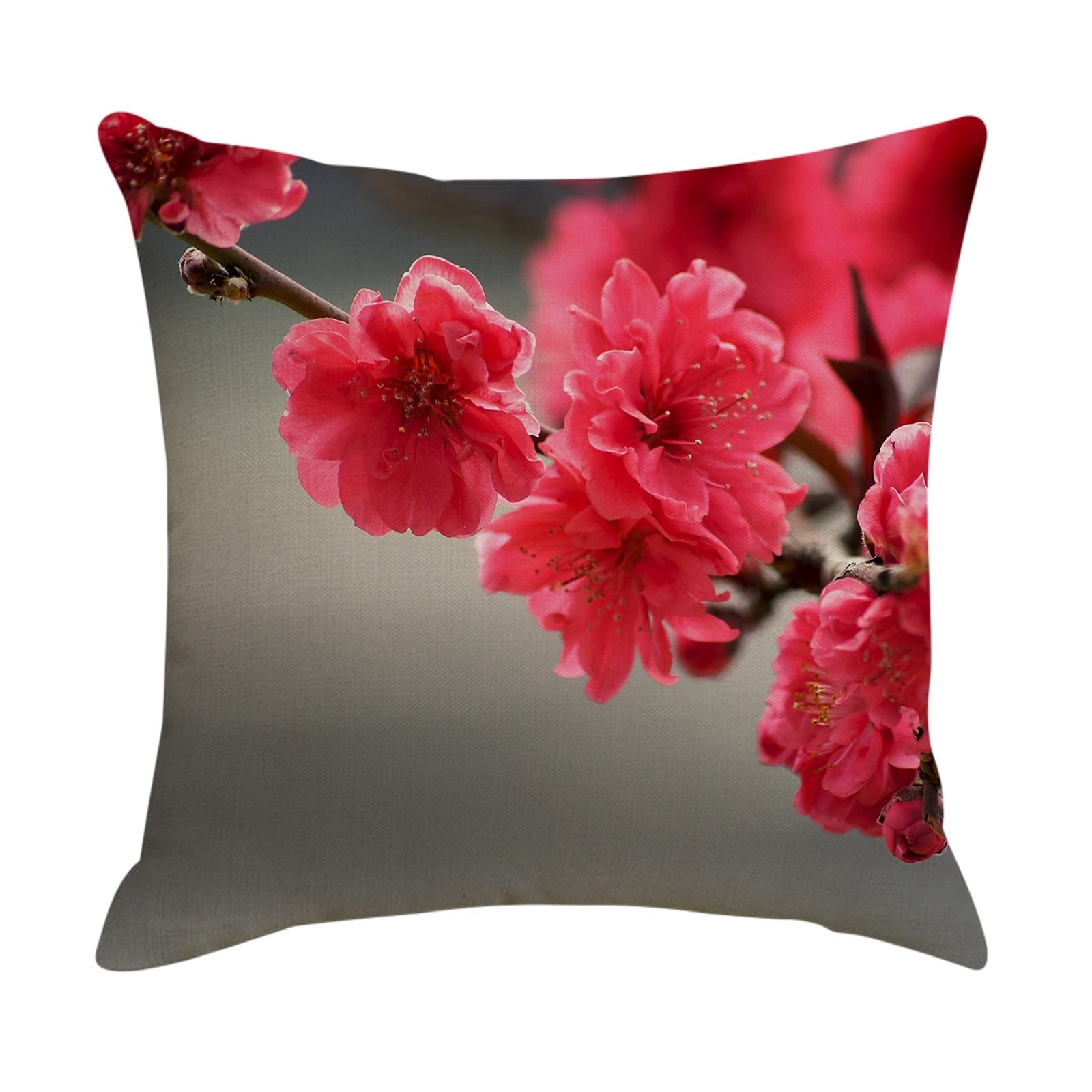 4 federe 50 x 50 cm, per cuscino decorativo per soggiorno, camera da letto