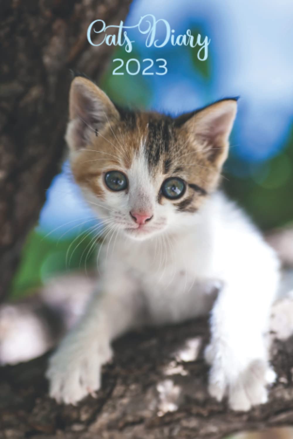 Cat Diary 2023: A Weekly And Monthly Planner for 2023 - UK Edition Cat Theming Throughout