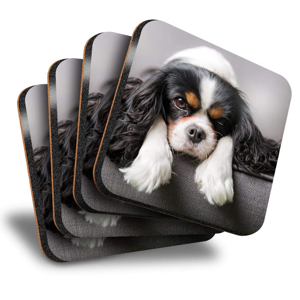 Destination Vinyl Ltd Great Coasters (Set of 4) Square - Cavalier King Charles Spaniel Dog Drink Glossy Coasters/Tabletop Protection for Any Table Type #12388
