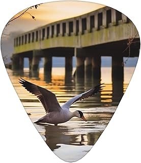 Wild Goose by the Bridge Guitar Picks 12 Pack Bass Picks with Organizer Box Guitar Plectrum Includes Thin Medium Heavy Guitar Picks Ukulele Picks for Bass Acoustic Electric Guitars