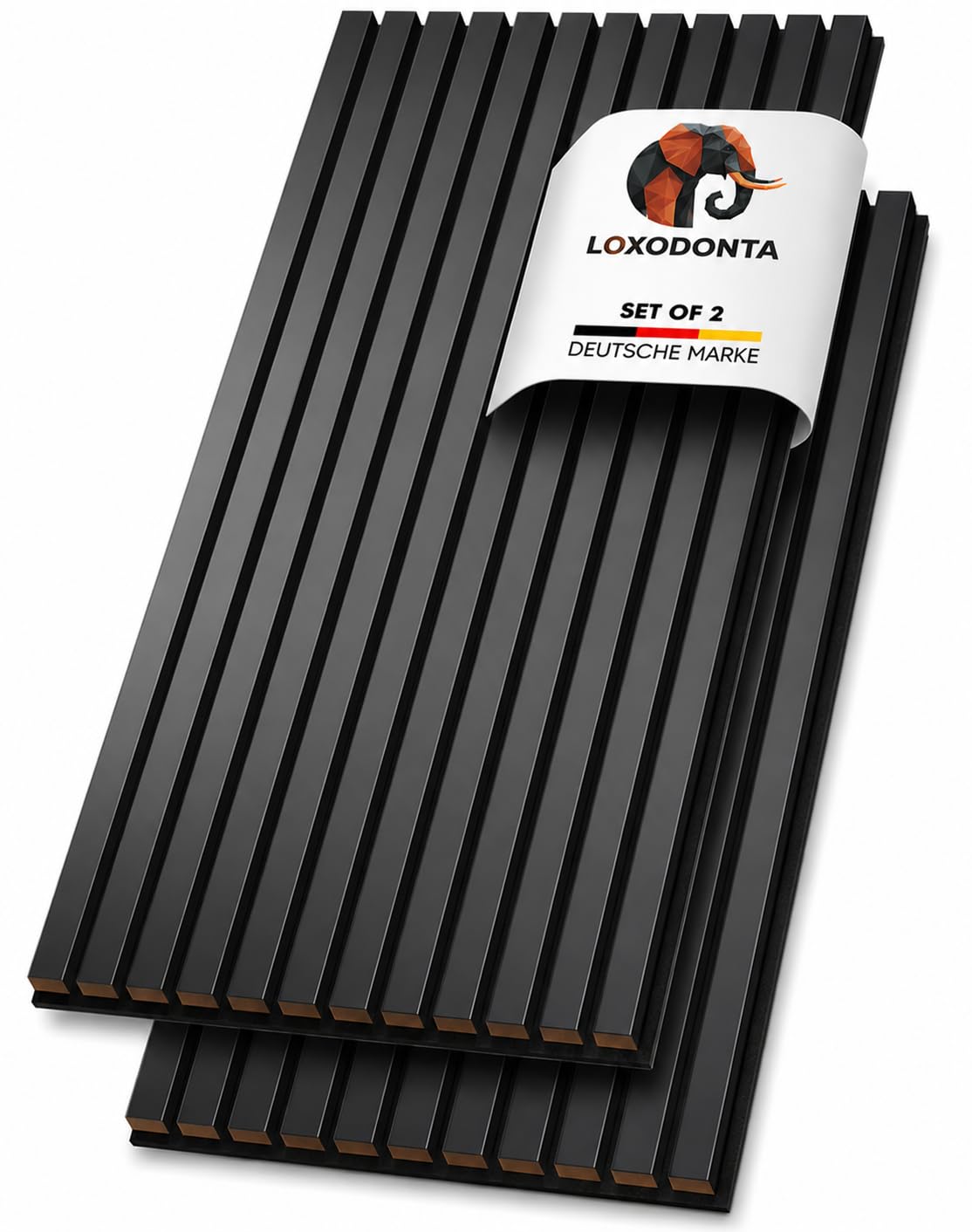 Akustikpaneele Holz, 2er Set, 120 x 60 cm, 1,44 m², Farbe: Schwarz