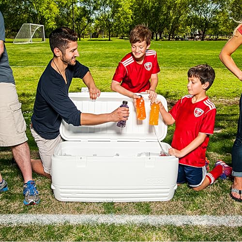 Igloo Polar 120 Qt. Cooler - image 6
