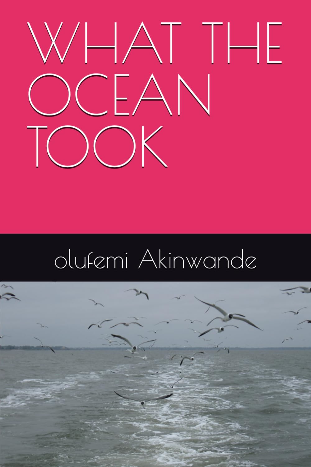 WHAT THE OCEAN TOOK