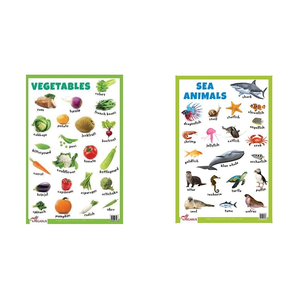 Buy Vegetables Thick Laminated Primary Chart+Sea Animals Thick