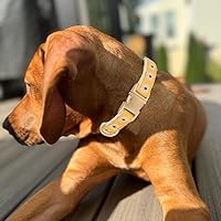 Vista 11 de Collar de Algodón Suave para Perro con Hebilla de Metal Ajustable de Servicio Pesado Cómodo Collares de Pana para Perros Pequeños, Medianos