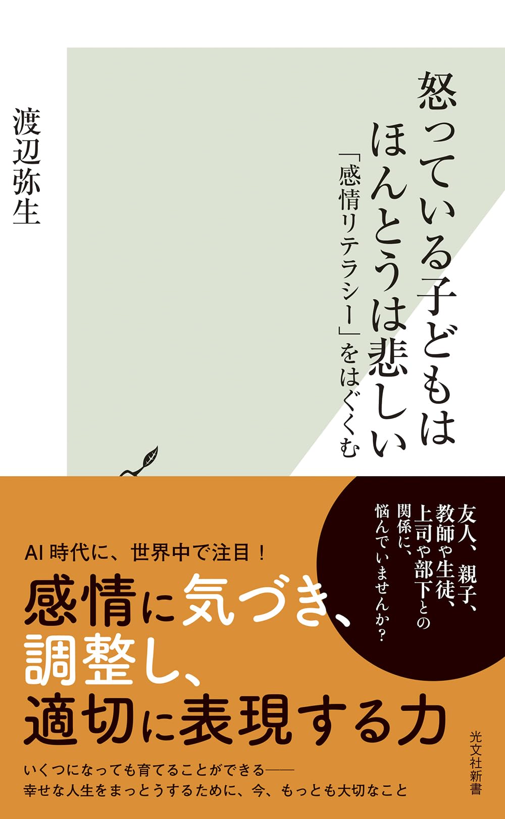 怒っている子どもはほんとうは悲しい 「感情リテラシー」をはぐくむ