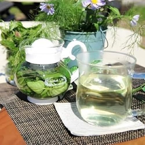 北海道 アロマ ウォーター 蒸留 摘みたて ハーブティー 体験 ハーブ フレッシュ オリジナル ハーブ畑 天然 リラックス 癒し リラクゼーション ハーバルランチ 洞爺湖