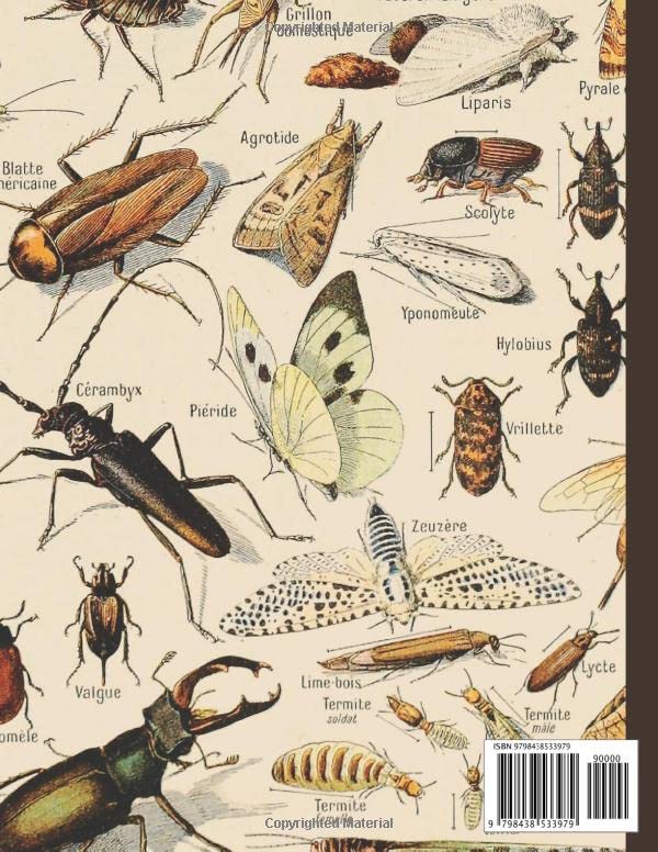 Composition Notebook: Vintage Insect Illustration. Entomology Science Lined Journal, College Ruled, 120 Pages, 8.5" x 11" - Image 2
