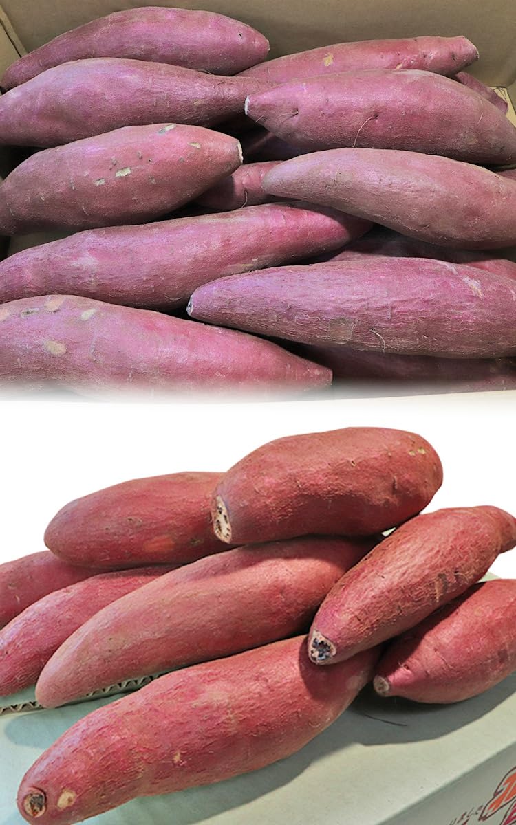 Amazon.co.jp: アヤコマチ さつまいも 約5kg 千葉県・茨城県産