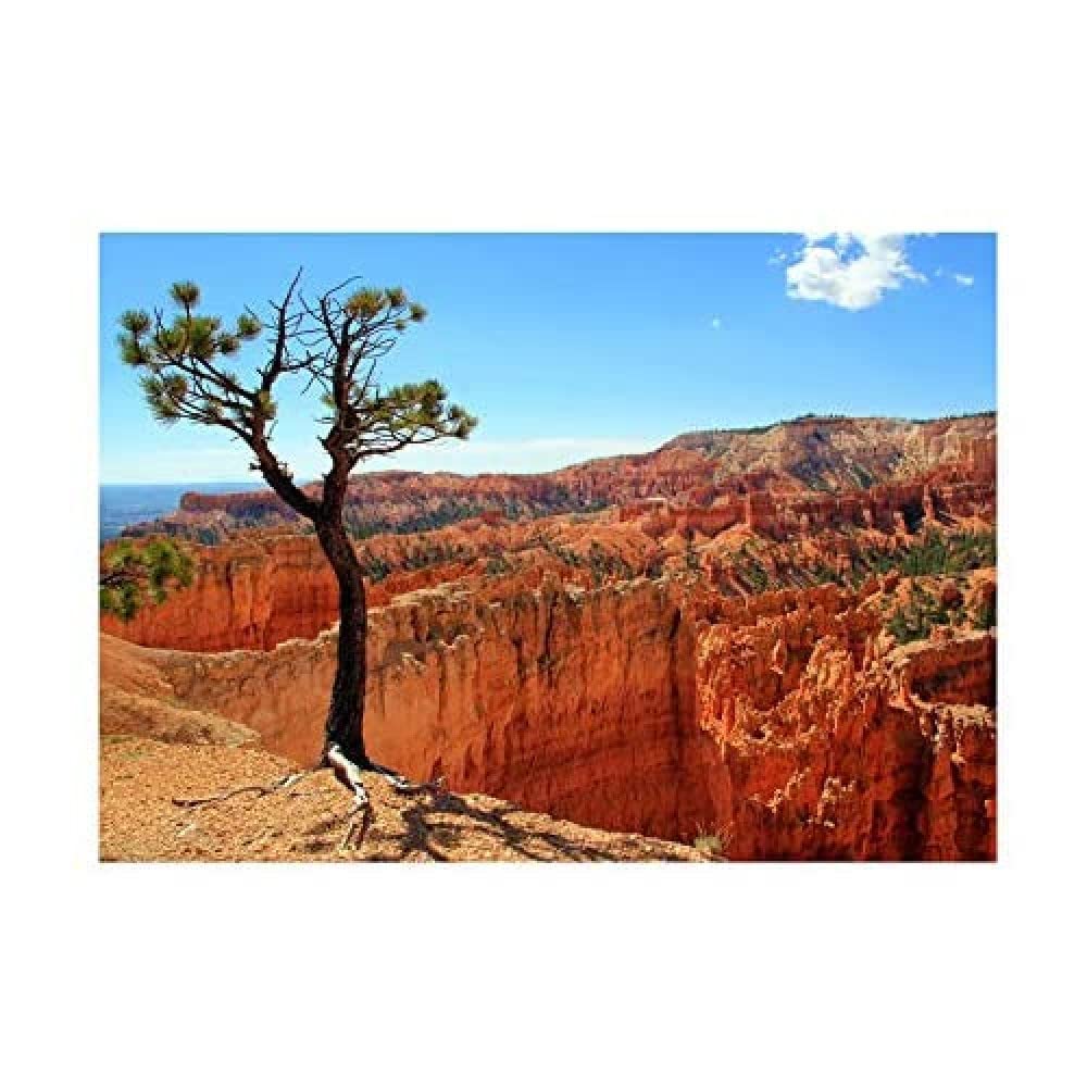 Wee Blue Coo Bryce Canyon Utah USA Landscape Photo Wall Art Print