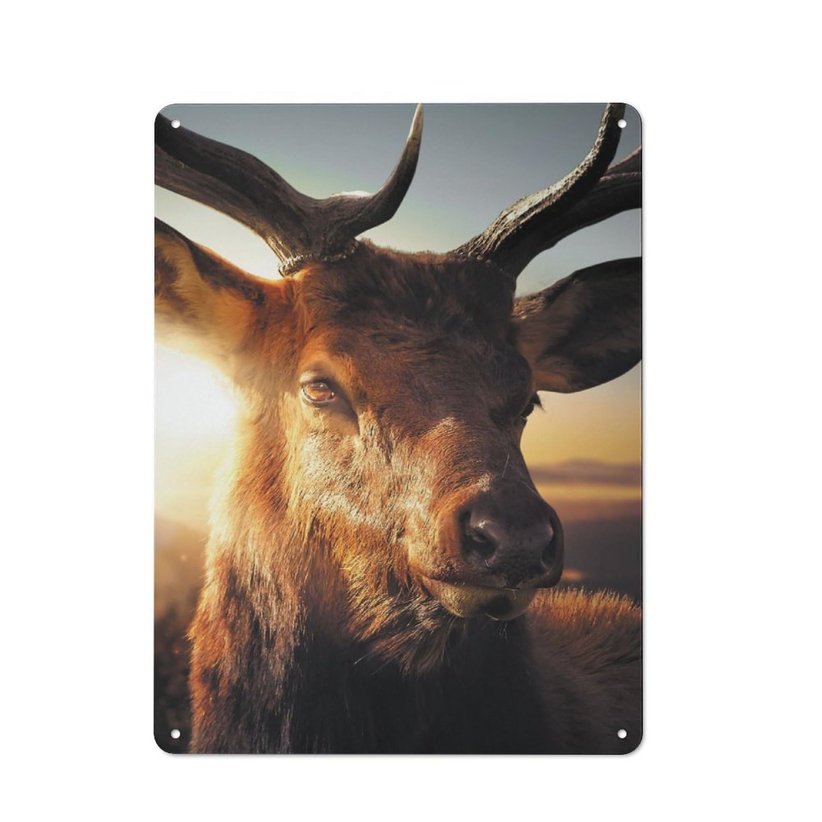 Junmoney The Deer Vintage Tin Sign 40X30cm With For Kitchen Or Home Bar, For Metal Sign Collectors, For Kitchen And Home Bar Decor