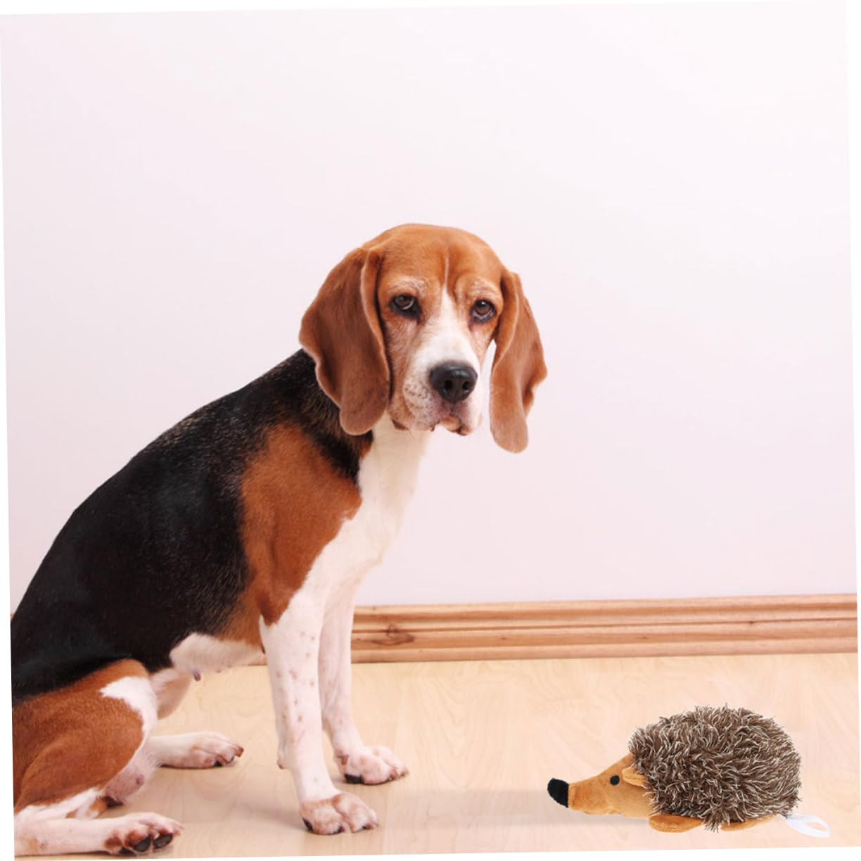 Didiseaon 6 Piezas De Juguete para Mascotas Juguete Molar para Perros Juguete Molar En Forma De Erizo Molar para Mascotas Juguetes Interactivos para Cachorros Juguetes De Entrenamiento
