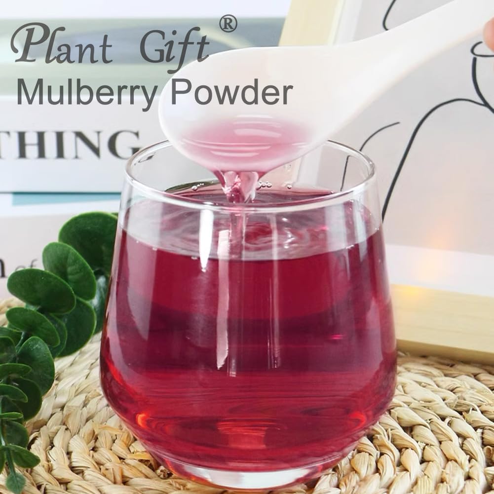 Plant Gift 100% Pure Mulberry Powder 桑葚粉 Polvo dietético natural, excelente sabor para bebidas, batidos y bebidas, polvo no GM - sin relleno, sin aditivos, yogur y más 100g / 3.25o