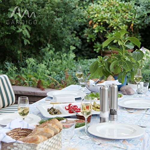 Gardigo® Attrattivo per Vespe 300 ml | Liquido