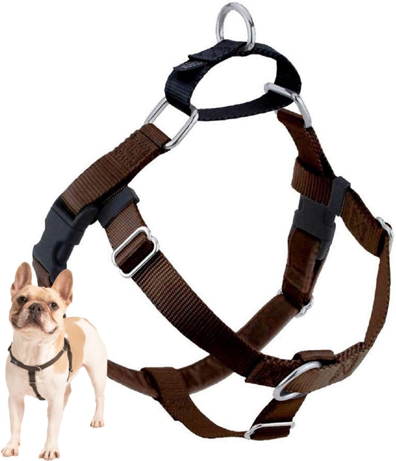 Freedom No Pull Dog Harness, Adjustable Harness, Easy Walking & Comfortable Control, Fits Small, Medium & Large Dogs, Solid Colors, Made in USA, 1" MD, Brown