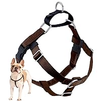 Algopix Similar Product 15 - 2 Hounds Design Freedom No Pull Dog