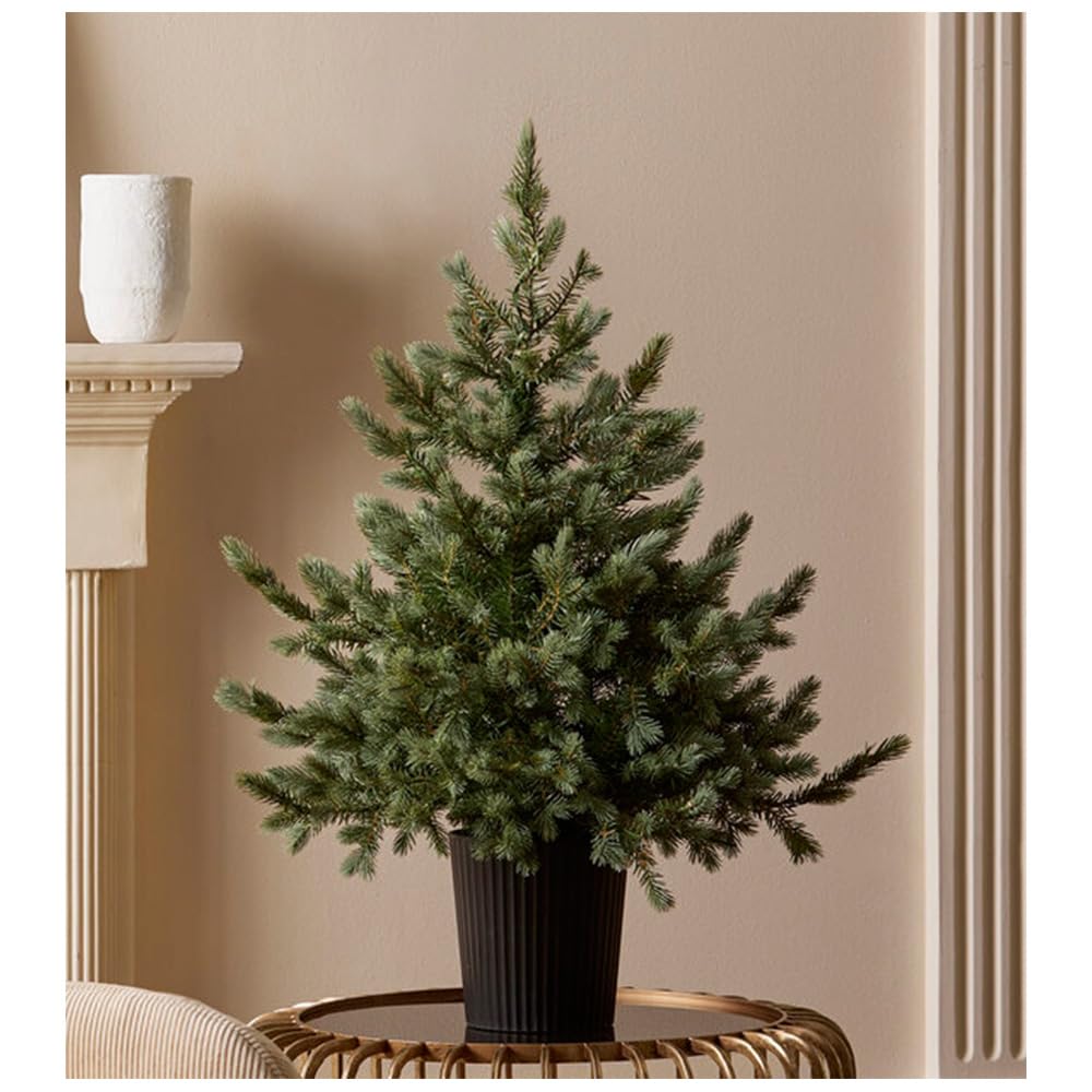 EDG Enzo de Gasperi Albero di Natale Pino Argentato con Vaso H90xD85 cm