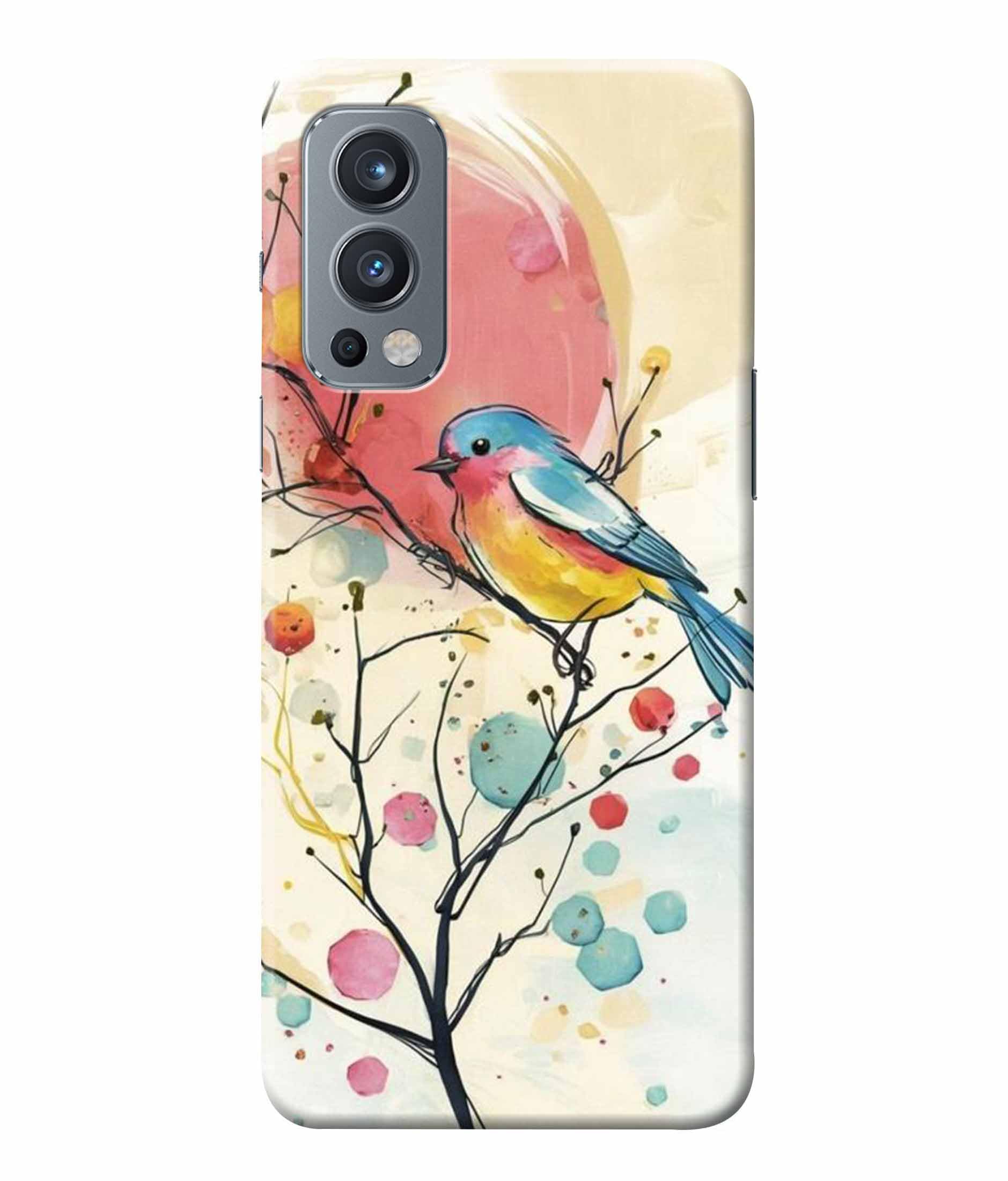 Printed Colorful Hard Back Case Cover & Compatible for OnePlus Nord 2 5G | Birds Painting Art (Multicolor) - D1199