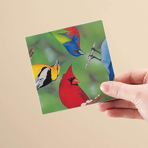 Miniatura 2 de Scramble Squares North American Birds - Rompecabezas desafiante de 9 piezas Ultimate Brain Teaser y juego mental para jóvenes y mayores por igual