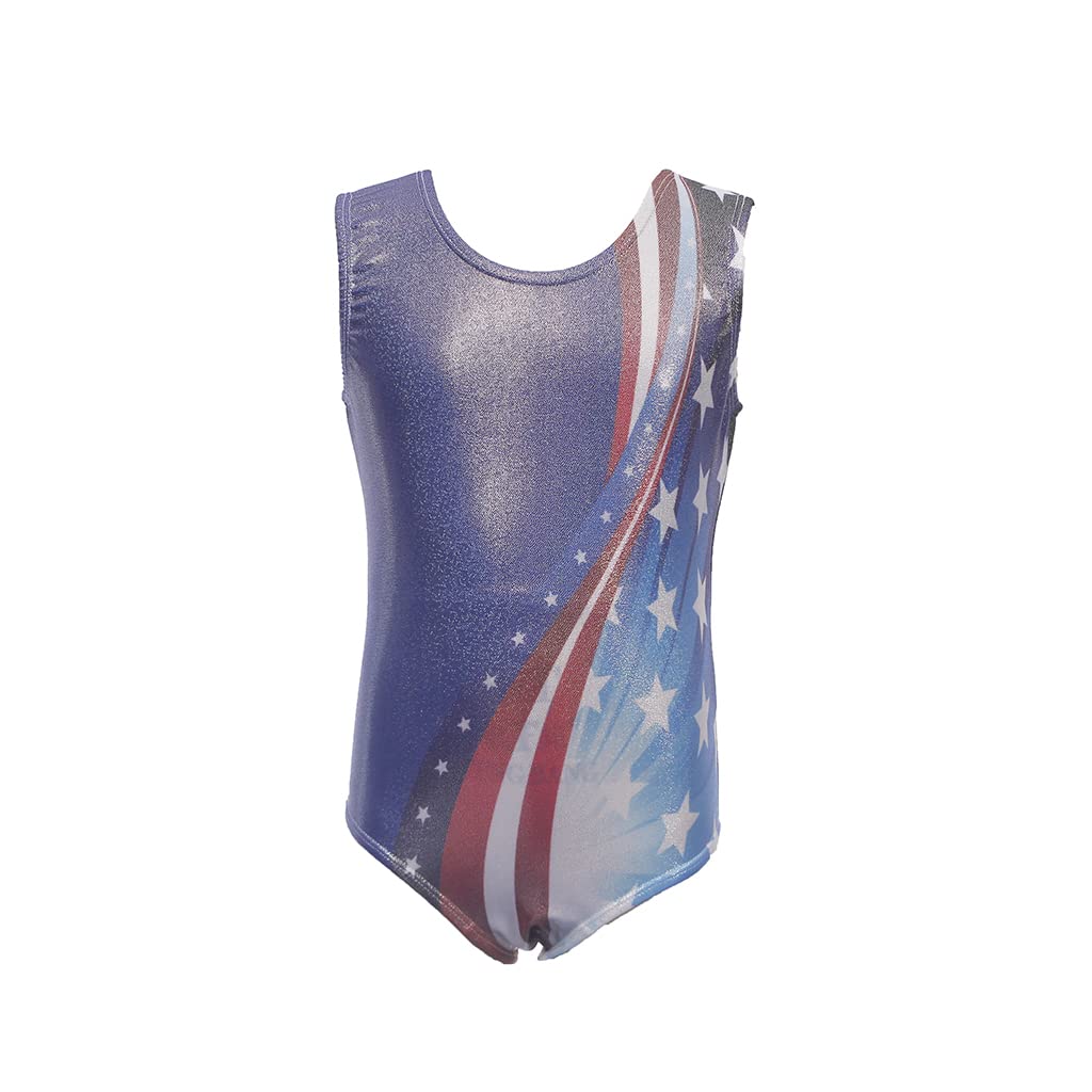 Buy Gymnastics Leotards for Little Girls Onepiece Sparkle Colorful