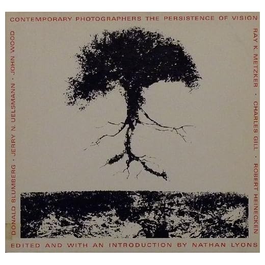 Contemporary Photographers The Persistence of Vision