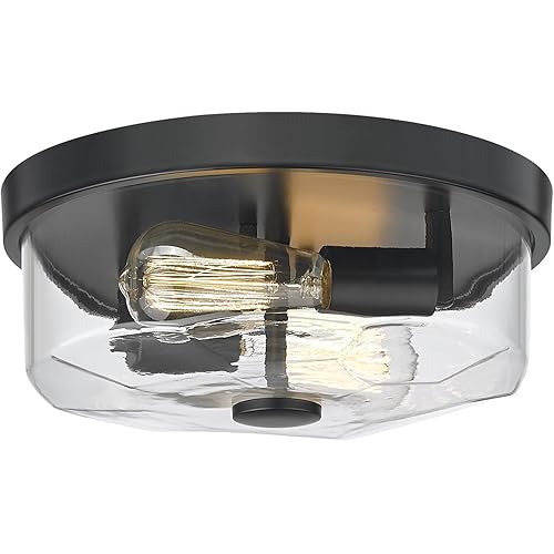 Flush Mount Ceiling Light with Clear Glass Shade, 2-Light Indoor Outdoor Farmhouse Lighting Flush Mount Lights for Kitchen Bedroom Porch Living Dining Room(Black)