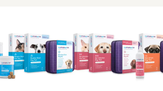 Allergy Test Copies Cat Dog Stool GIA Test Kit Fast And