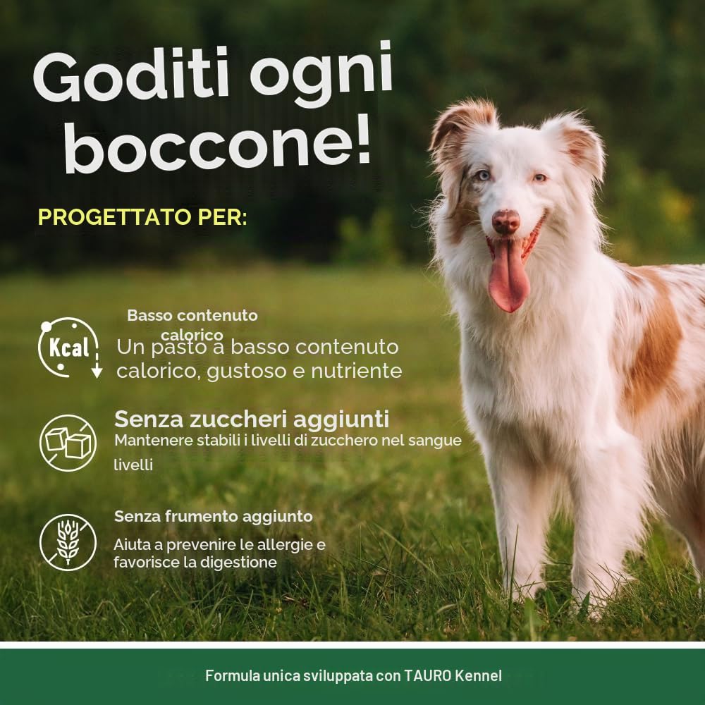 Nature's Protection Superior Care - Cibo umido per cani adulti, tonno e salmone ad alto contenuto proteico in sacchetti di sugo, per digestione sensibile, pelle e pelo sani, di tutte le razze, cani