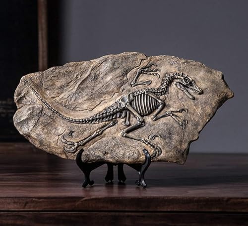 Miniatura 7 de XINDAM Estatua de fósil de dinosaurio tiranosaurio Rex de resina modelo de esqueleto simulado para oficina en casa decoración de caja de