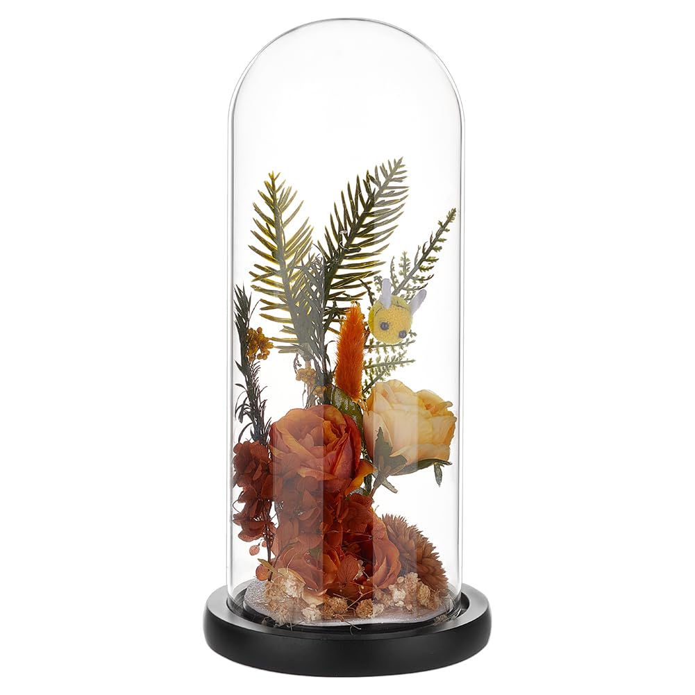 BENECREAT Campana In Vetro A Forma di Arco con Base In Legno, Cupola Espositiva In Vetro Trasparente Da 25x9.5cm per Decorazioni per La Casa, Piante, Oggetti Da Collezione e Ricordi, Nero