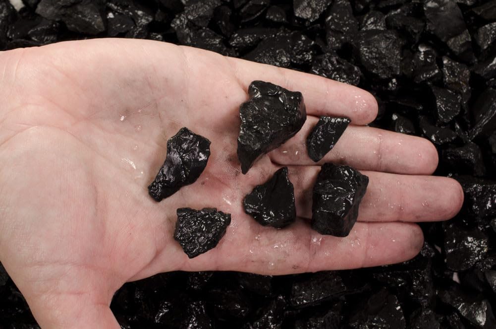 Fantasia Materials: 5 lb Shungite Stones from Russia - 3/4" to 1.5" Average Size