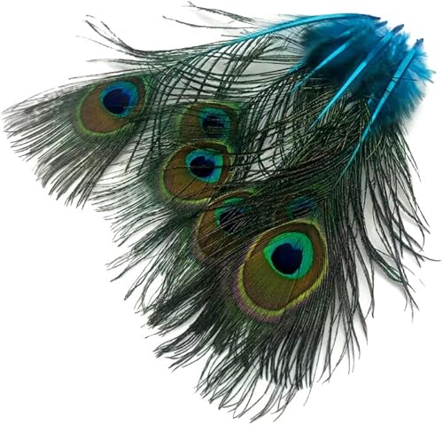 Miniatura 4 de 50 piezas - Mini cuerpo de cola de pavo real natural azul turquesa con ojos al por mayor plumas (a granel) Proveedor de manualidades de disfraces de
