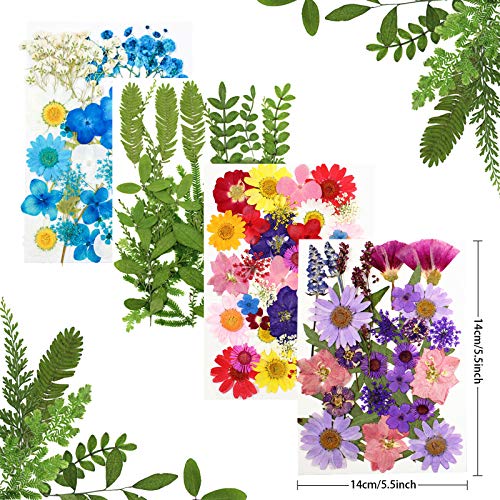image for Whaline 120PCS+ Real Dried Press Flowers Dried Press Leaves Handmade F