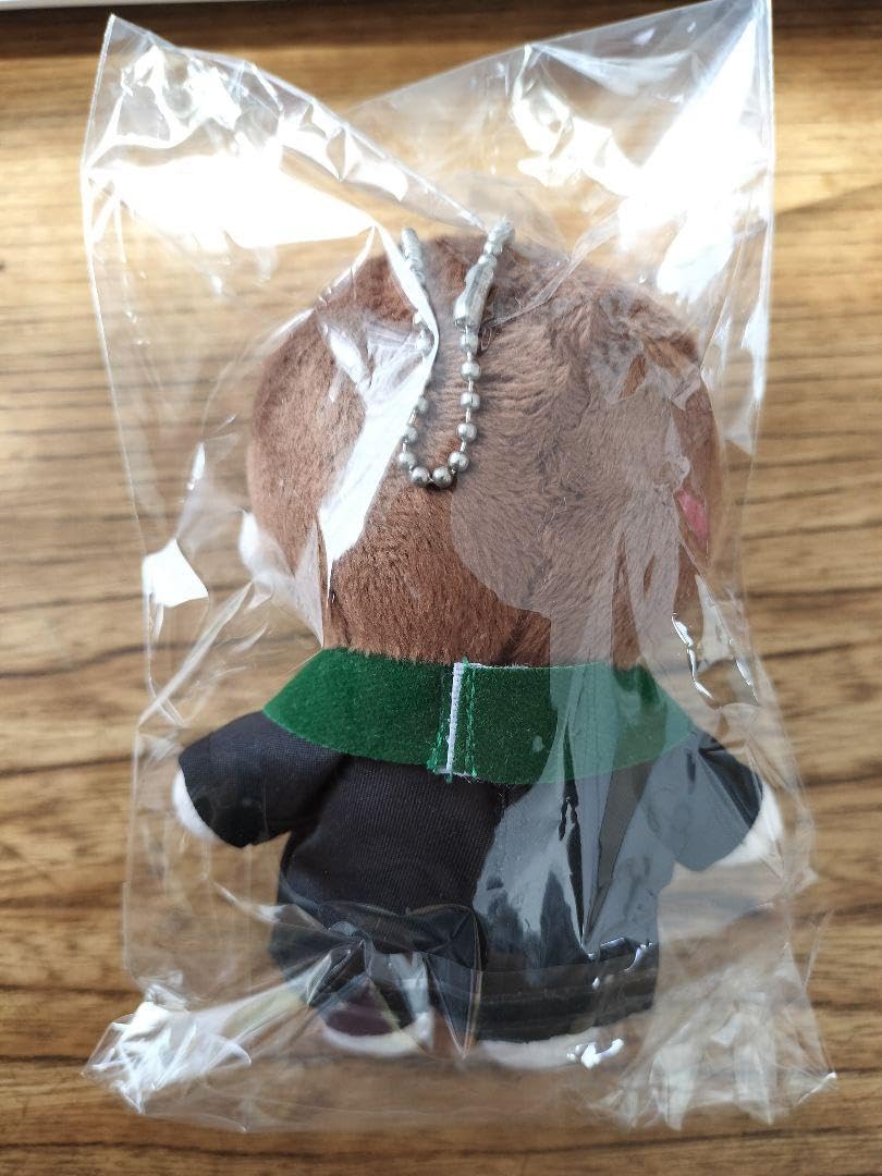 2gether 映画　サラワット&タイン　ぬいぐるみ　Brightwin 41X+R8m71-L._UF350,350_QL50_.jpg