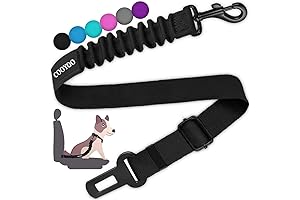 Indispensable Pet Seatbelt: Ultimate Safety for Your Furry Companion