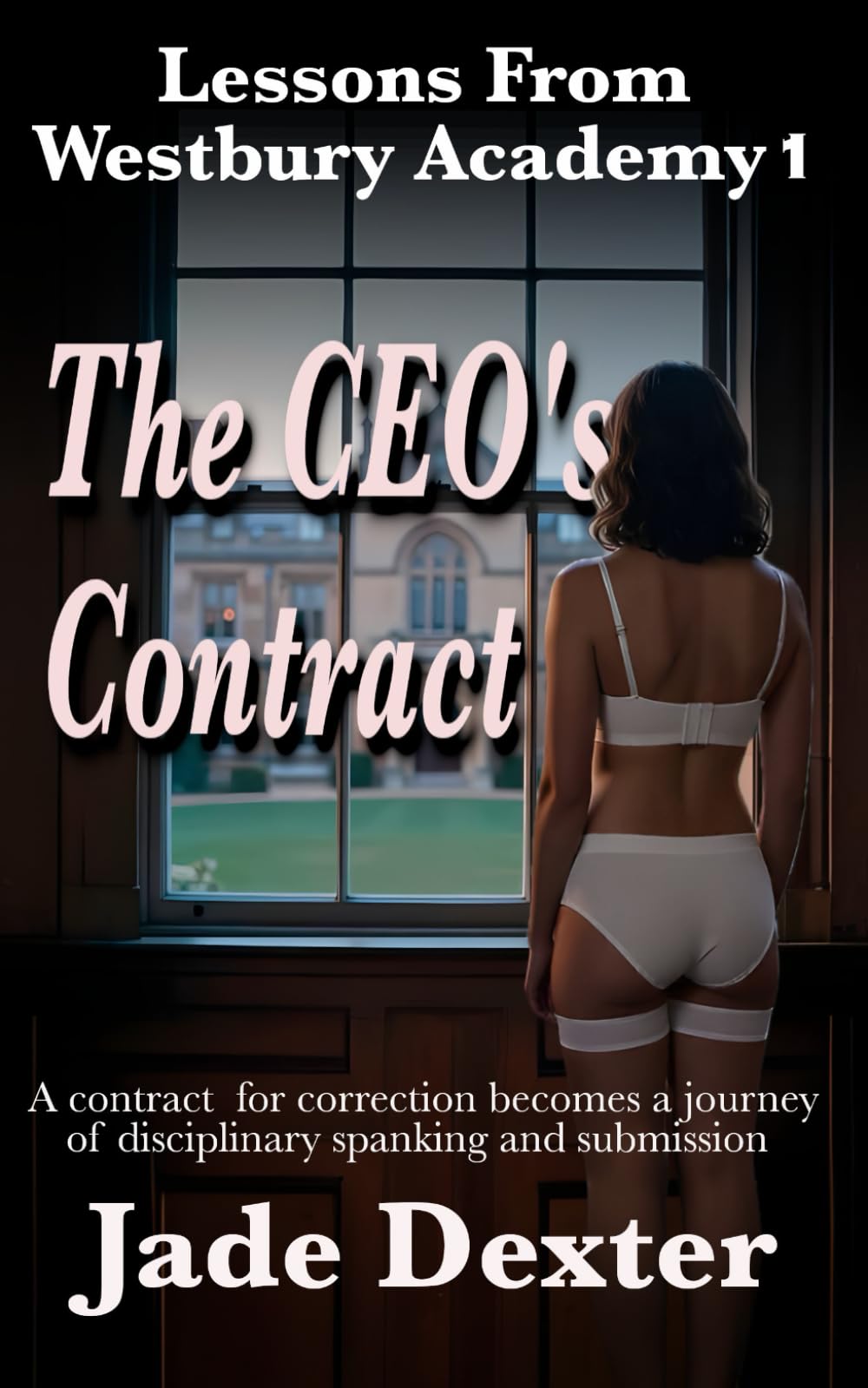 Lessons from Westbury Academy 1 The CEO's Contract: A contract for correction becomes a journey of disciplinary spanking and submission.