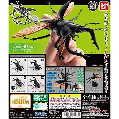 Amazon | くわがた 全4種セット（レア含むコンプセット