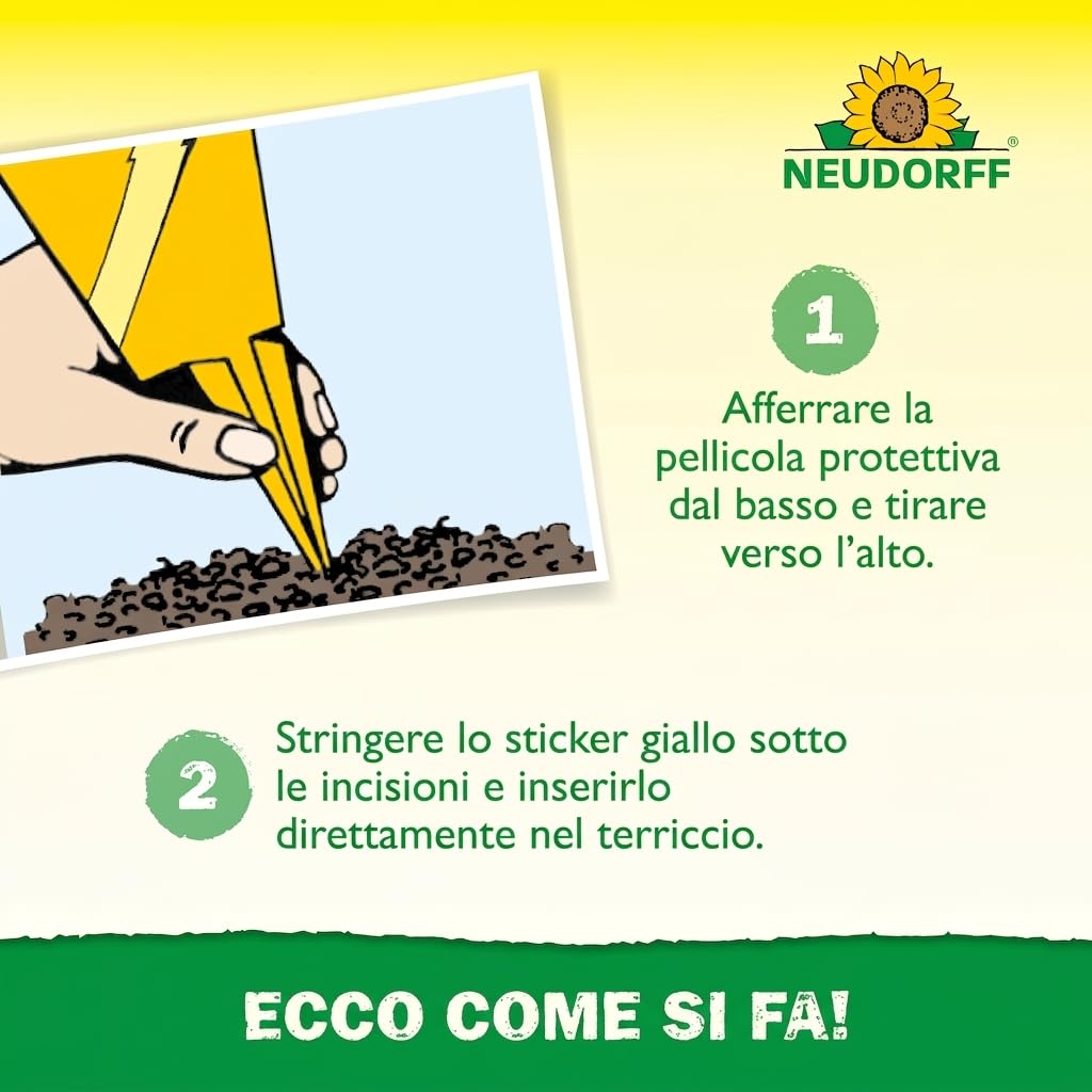 Neudorff Duo Sticky Traps – Trappole adesive blu contro i tripidi e trappole adesive gialle contro i moscerini sciaridi. Senza insetticidi, 20 pezzi