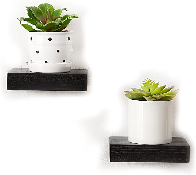 INMAN Small Oak Floating Shelves 2PC Wooden Mini Wall Mounted Shelf for Decor Plant, Little Black Display Shelf for Living Room Bedroom Bathroom