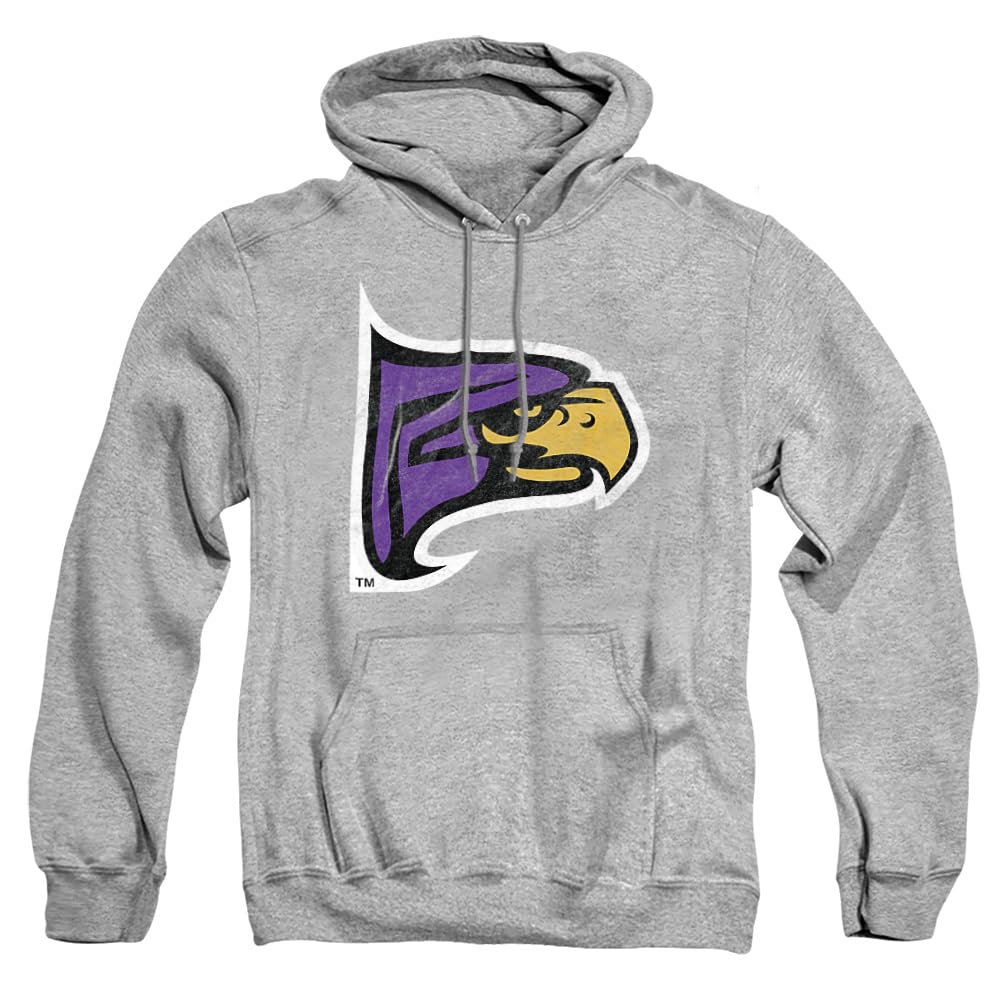 LOGOVISION Official Collegiate Distressed Primary Logo Adult Pullover Hoodie Collection — view 189