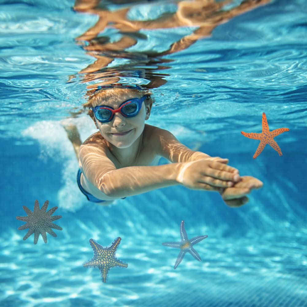 Ricerca delfini con apericena a bordo e sosta bagno da Giardini Naxos -  Holidoit, image size:1001x1001